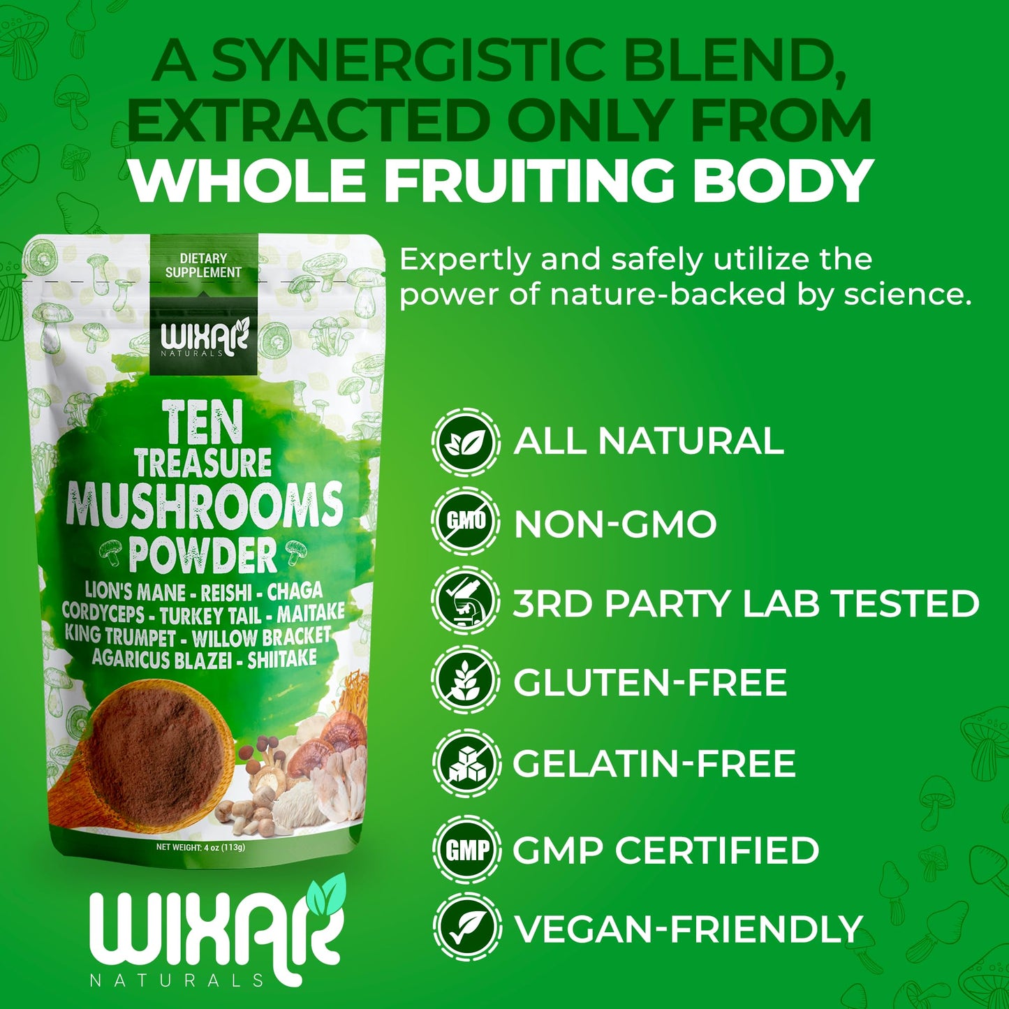 Wixar Mushroom Powder - Ten Treasure Mushrooms Extract Supplement Blend for Coffee & Smoothies - Lions Mane, Turkey Tail, Reishi, Chaga, Shiitake, Cordyceps, Complex - 4oz Mushroom Supplement
