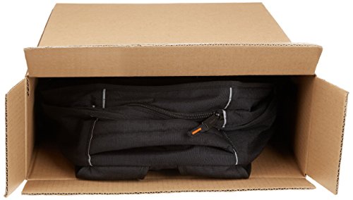 AmazonBasics - Zaino per computer portatile (17'')