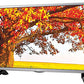 LG 32LH516A 80cm (32 Inch) HD Ready LED IPS Panel TV (Black)