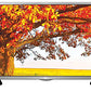 LG 32LH516A 80cm (32 Inch) HD Ready LED IPS Panel TV (Black)