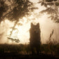 Red Dead Redemption 2 - Ultimate Edition - Xbox One