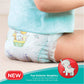 Pampers New Large Size Diapers Pants Monthly Box Pack, 128 Count